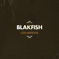 Ringo Starr - 2nd Best Drummer in the Beatles - Blakfish