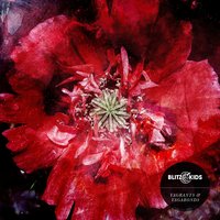 Photograph - Blitz Kids