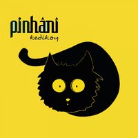Düşmanmışız Gibi - Pinhani
