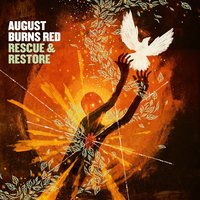 Creative Captivity - August Burns Red