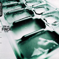 New Beginnings - Finch