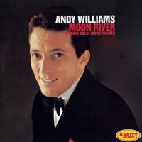 Summer Place - Andy Williams