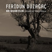 Yürüdüm - Feridun Düzağaç