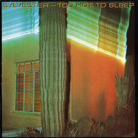 Too Hot To Sleep - Sylvester