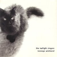 So Tight - The Twilight Singers