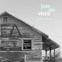 It's Fiction - Joie De Vivre