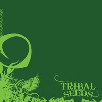 Island Girl - Tribal Seeds