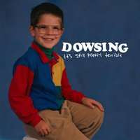 What Did You Ever Do? - Dowsing