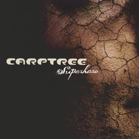Into the never to speak of - Carptree