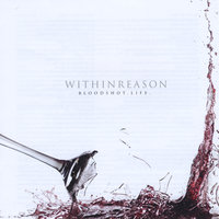 Your Mistake - Within Reason