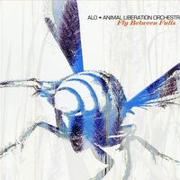 Shapeshifter - ALO (Animal Liberation Orchestra)