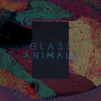 Exxus - Glass Animals, Patten