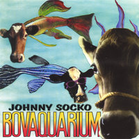 Joe Bob's Chicken Lounge - Johnny Socko