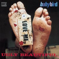 Baby Bird - Babybird, Stephen Jones, Luke Scott