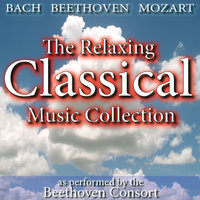 Auld Lang Syne - Beethoven Consort