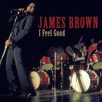 You Can't Keep a Good Man Down - James Brown