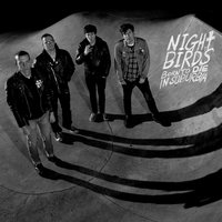 No Spoilers - Night Birds