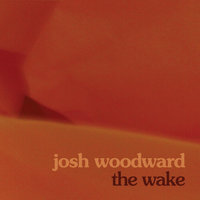 I Will Not Let You Let Me Down - Josh Woodward