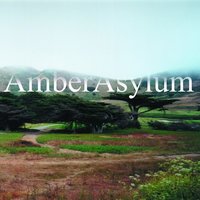 Black Sabbath - Amber Asylum