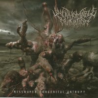 Carved Inherent Delusion - Unfathomable Ruination