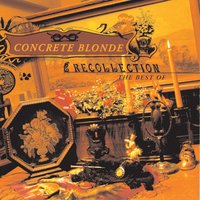 Still In Hollywood - Concrete Blonde