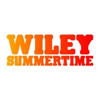 Summertime - Wiley, Alex Gaudino