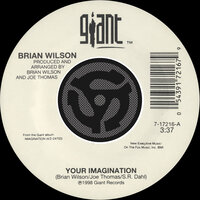 Your Imagination (A Cappella) - Brian Wilson