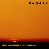 Пламенный посланник - Павел Кашин