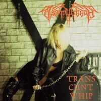 Trans cunt whip - Tsatthoggua