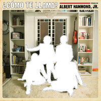 You Won't Be Fooled By This - Albert Hammond Jr