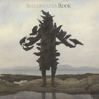 On The Death Of The Waters - Shearwater