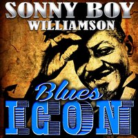 Brother James - John Lee "Sonny Boy" Williamson