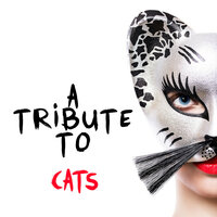Old Gumbie Cat - Ameritz Tribute Club