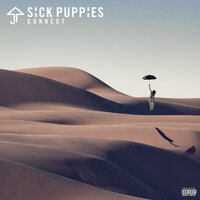 There's No Going Back - Sick Puppies