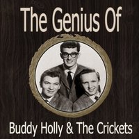 I Love You - Buddy Holly, The Crickets