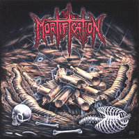 Scrolls Of The Megilloth - Mortification