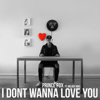 I Don't Wanna Love You - Prince Fox, Melody Noel