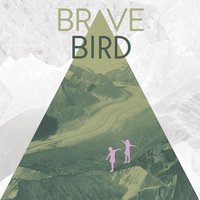 Scared Enough - Brave Bird
