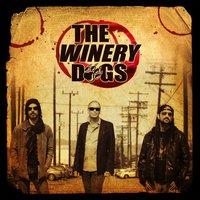 Six Feet Deeper - The Winery Dogs