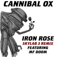 Iron Rose - Cannibal Ox, Skylab 3, MF DOOM