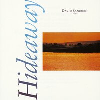 I Do It for Love - David Sanborn