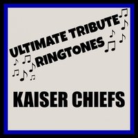 I Predict a Riot (Tribute in the Style of Kaiser Chiefs) - DJ Mixmasters