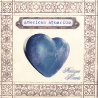 California - American Aquarium