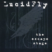 Means To An End - Lucid Fly