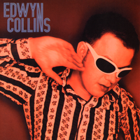 I'm Not Following You - Edwyn Collins