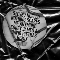 Nothing Scares Me Anymore - Steve Angello, Sam Martin, Corey James