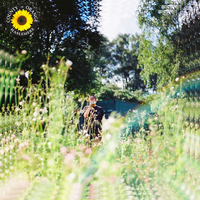 Sunflower - Rex Orange County