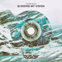 Blinding My Vision - Harrison