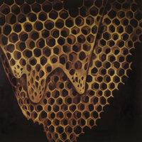 What It Was Will Never Again - Telefon Tel Aviv