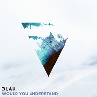 Would You Understand - 3LAU, Carly Paige